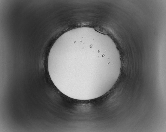 X0000088680543200706281944