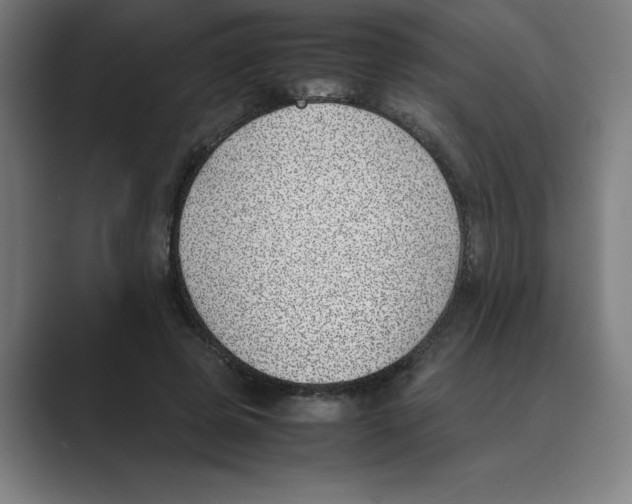 X0000088680545200706281944