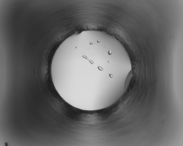 X0000088680548200706281944