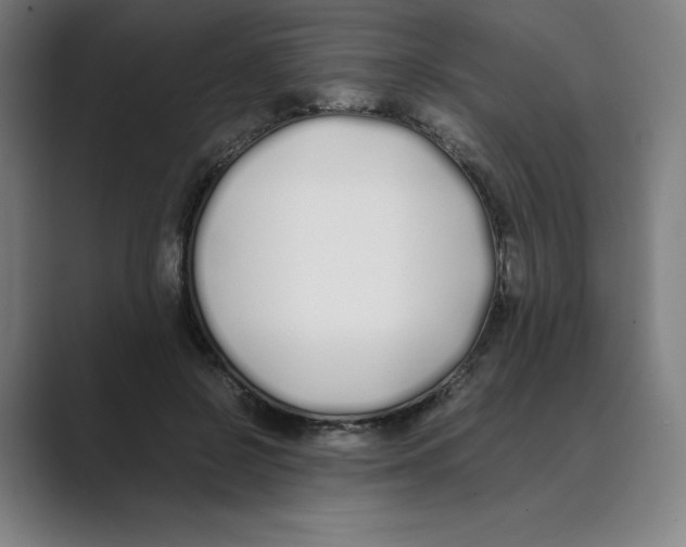 X0000088680550200706281944