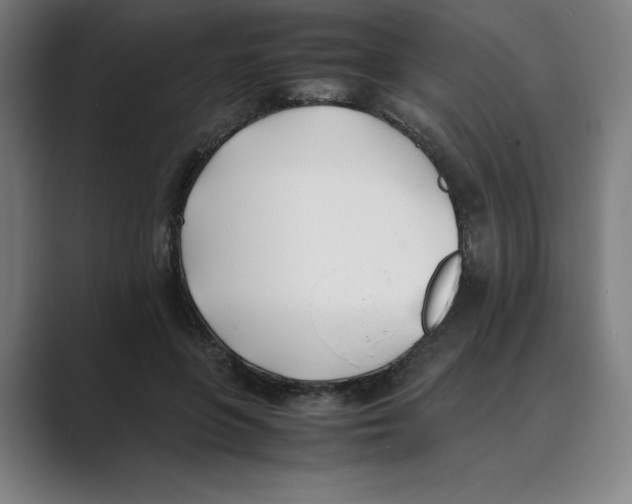 X0000088680551200706281944