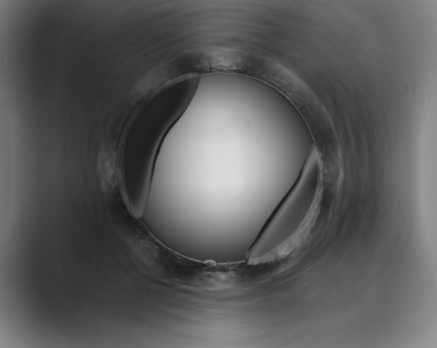 X0000088680552200706281944