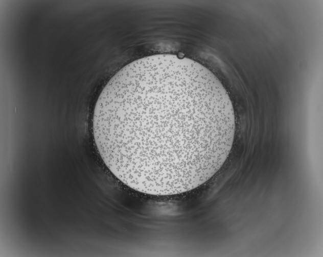 X0000088680553200706281944