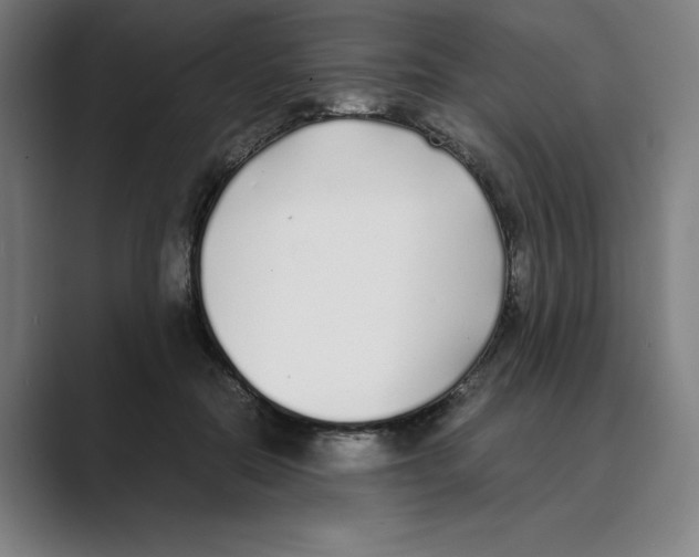 X0000088680554200706281944