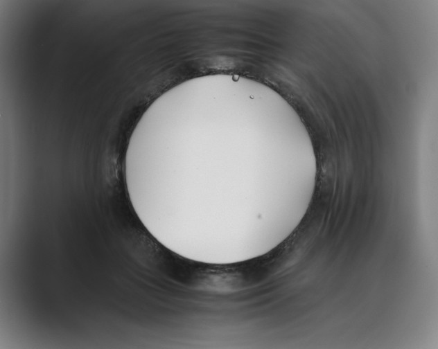 X0000088680555200706281944