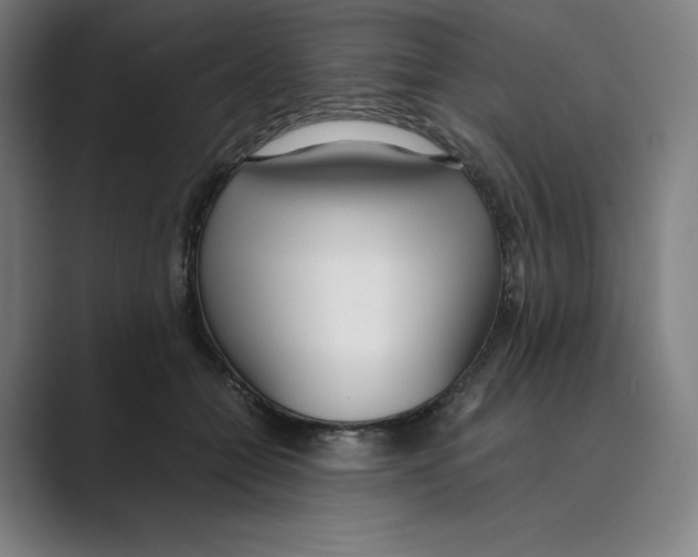 X0000088680558200706281944