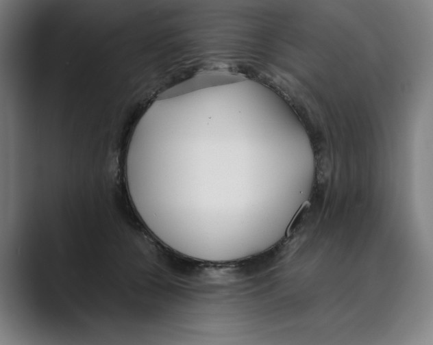 X0000088680560200706281944