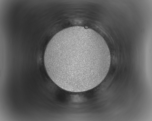 X0000088680561200706281944