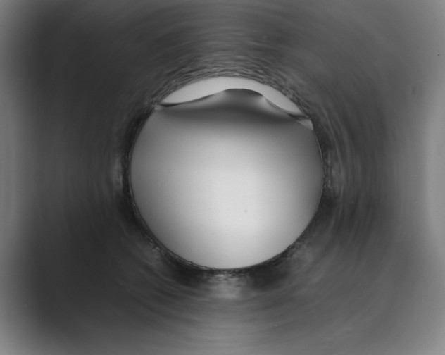 X0000088680562200706281944