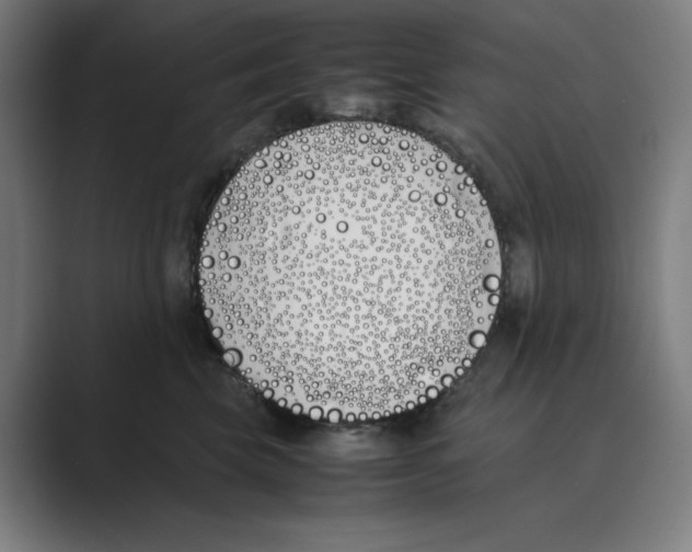 X0000088680569200706281945