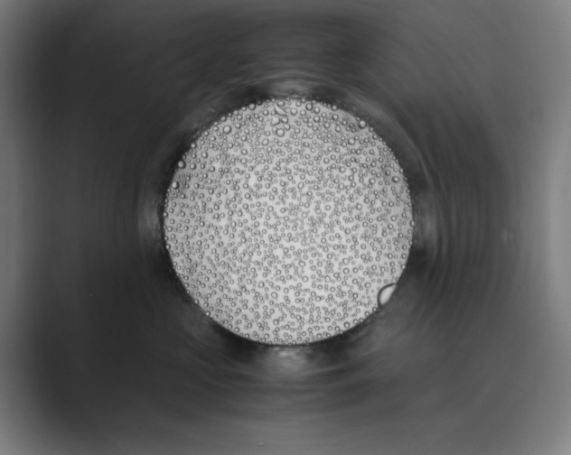 X0000088680573200706281945