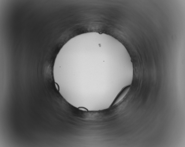 X0000088680575200706281945