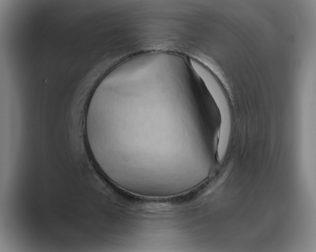 X0000088680577200706281944