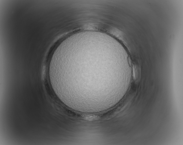 X0000088680579200706281944