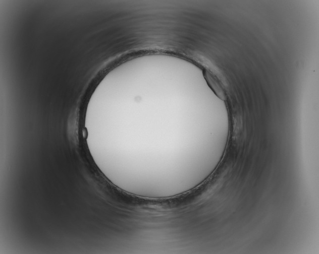 X0000088680580200706281944