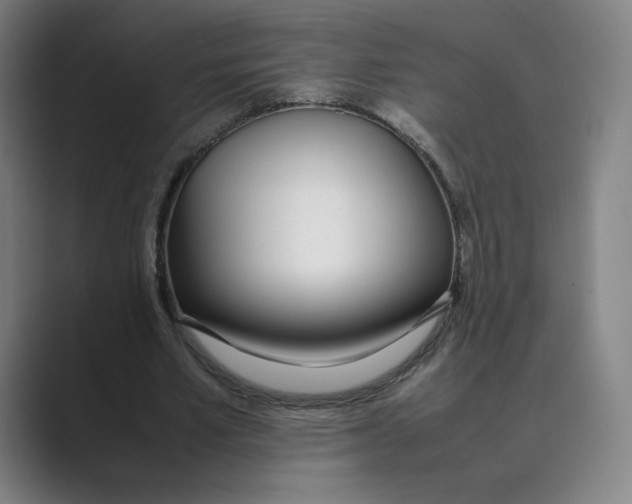 X0000088680581200706281944