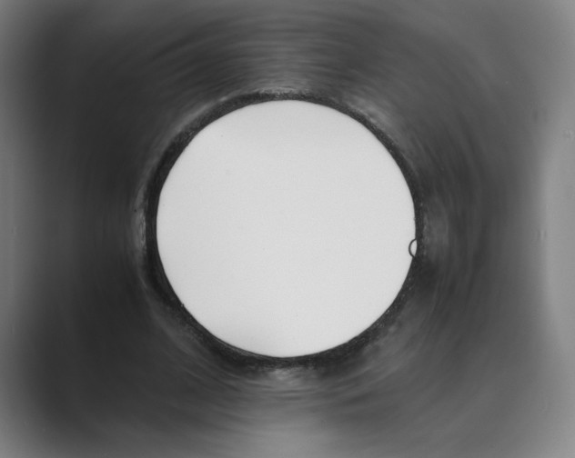 X0000088680584200706281944