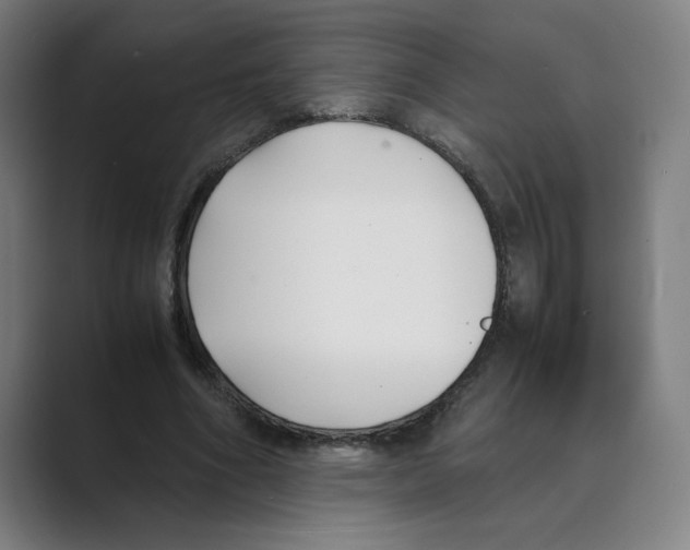 X0000088680586200706281944