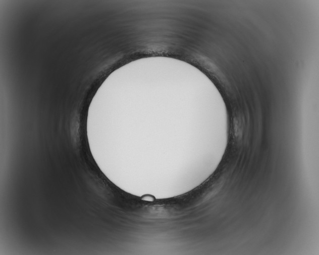 X0000088680588200706281944