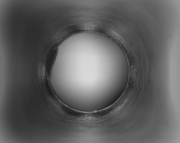 X0000088680589200706281944