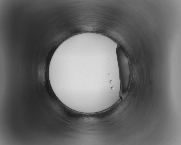 X0000088680590200706281944