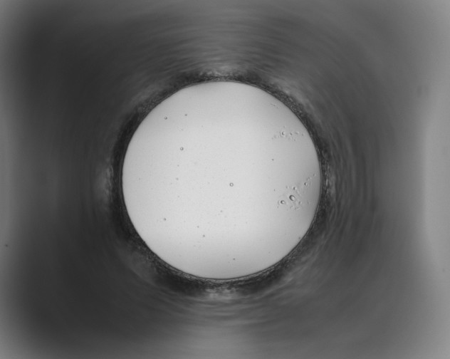 X0000088680591200706281944