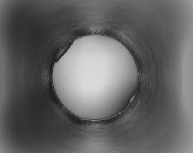 X0000088680593200706281944