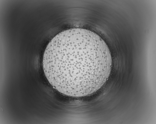 X0000088680594200706281944