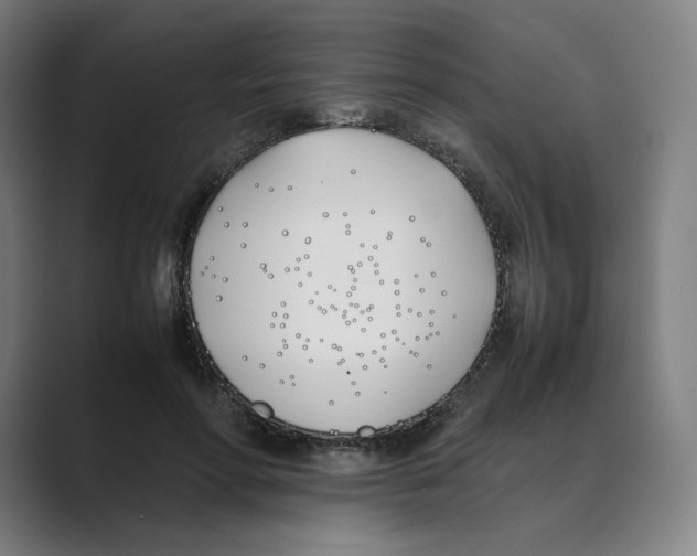 X0000088680598200706281944