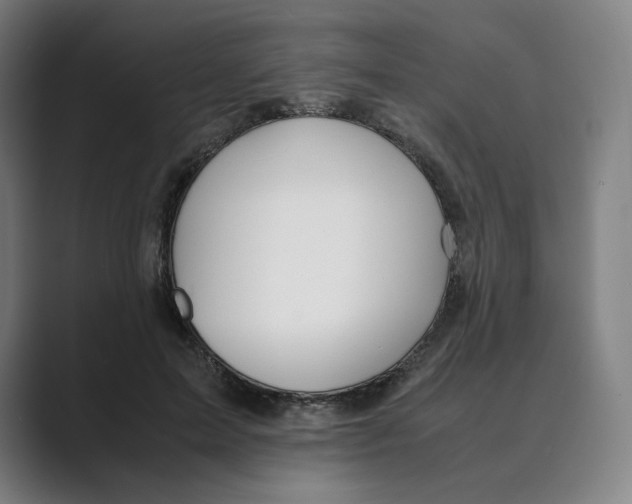 X0000088680599200706281944