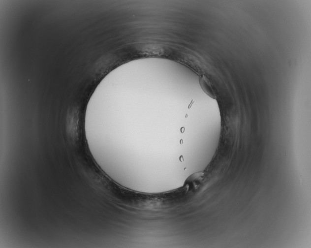 X0000088680600200706281944