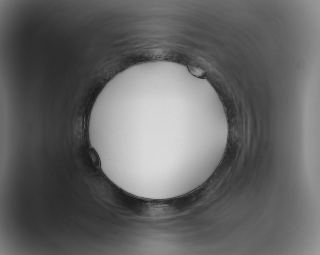 X0000088680605200706281944