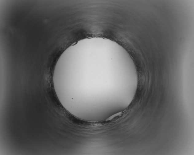 X0000088680609200706281944