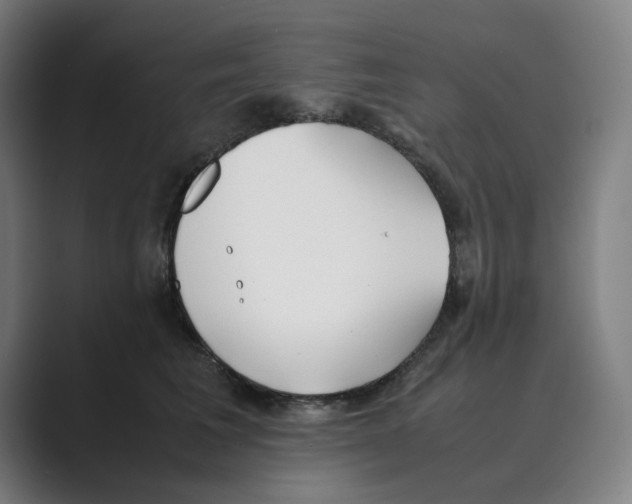 X0000088680613200706281944