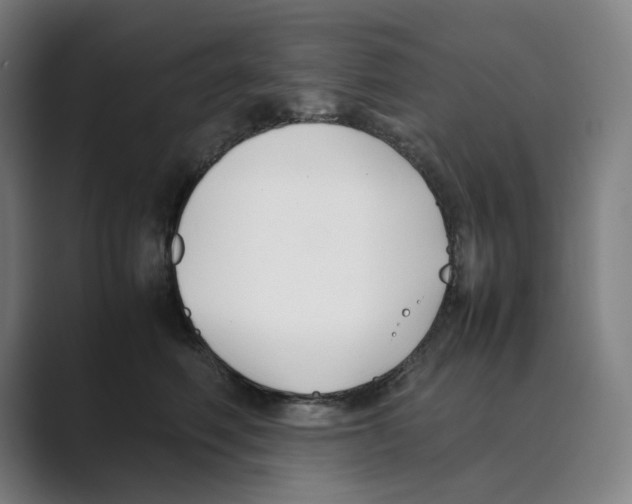 X0000088680614200706281944