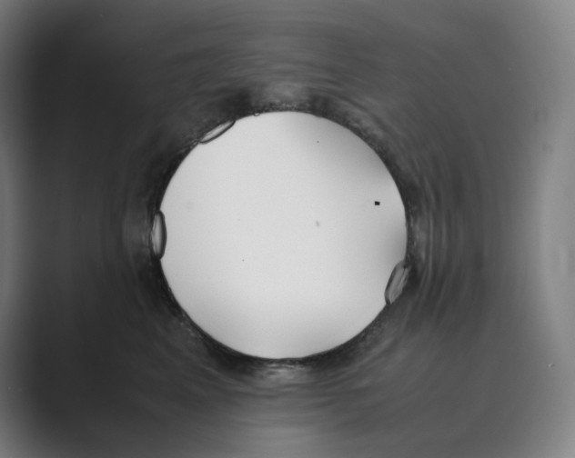 X0000088680617200706281944