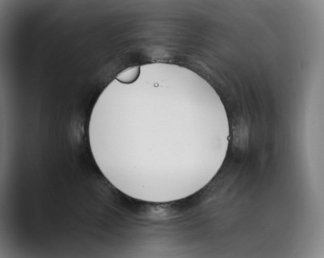 X0000088680618200706281944