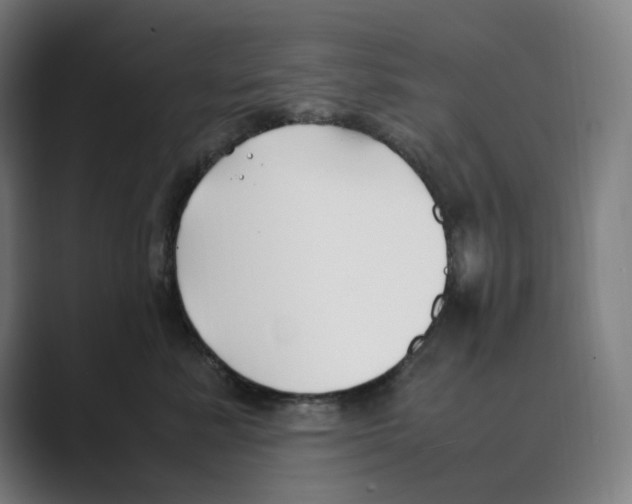 X0000088680619200706281944