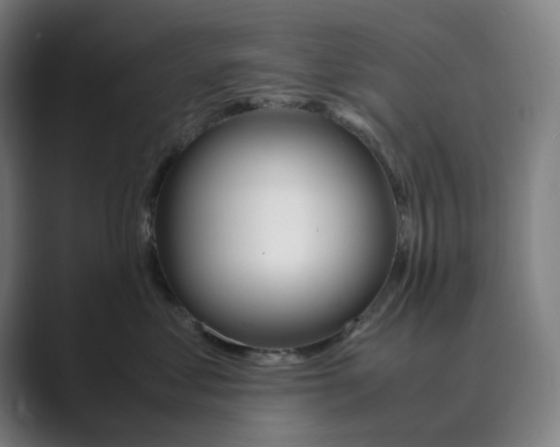 X0000088680621200706281943