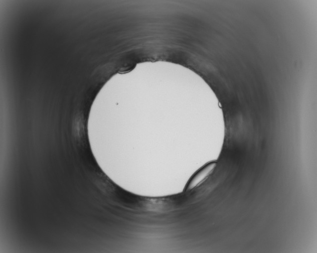 X0000088680623200706281943