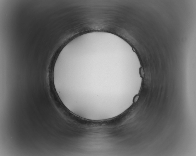 X0000088680626200706281943