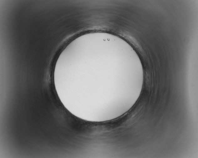 X0000088680628200706281943