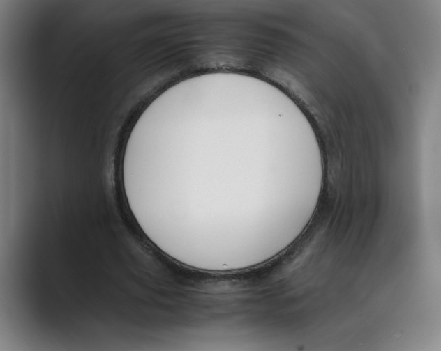 X0000088680629200706281943