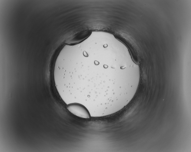 X0000088680630200706281943