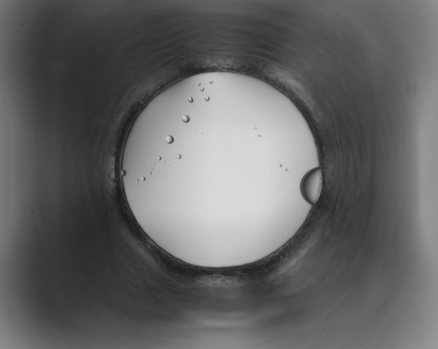 X0000088680633200706281943