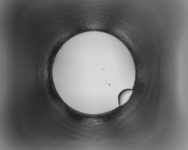 X0000088680635200706281943