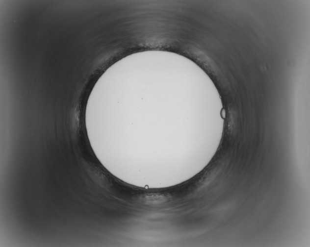 X0000088680636200706281943