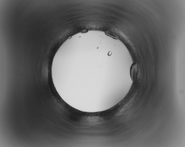 X0000088680637200706281943