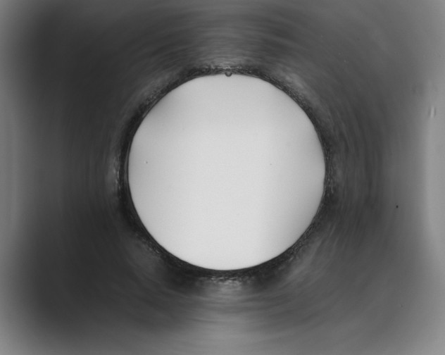 X0000088680640200706281943