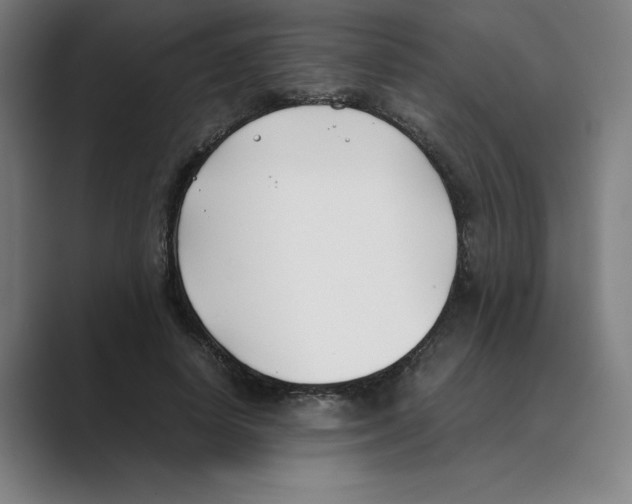 X0000088680642200706281943